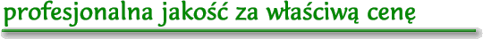 Wir erstellen Ihre Homepage in Profi-Qualität zum fairen Preis.